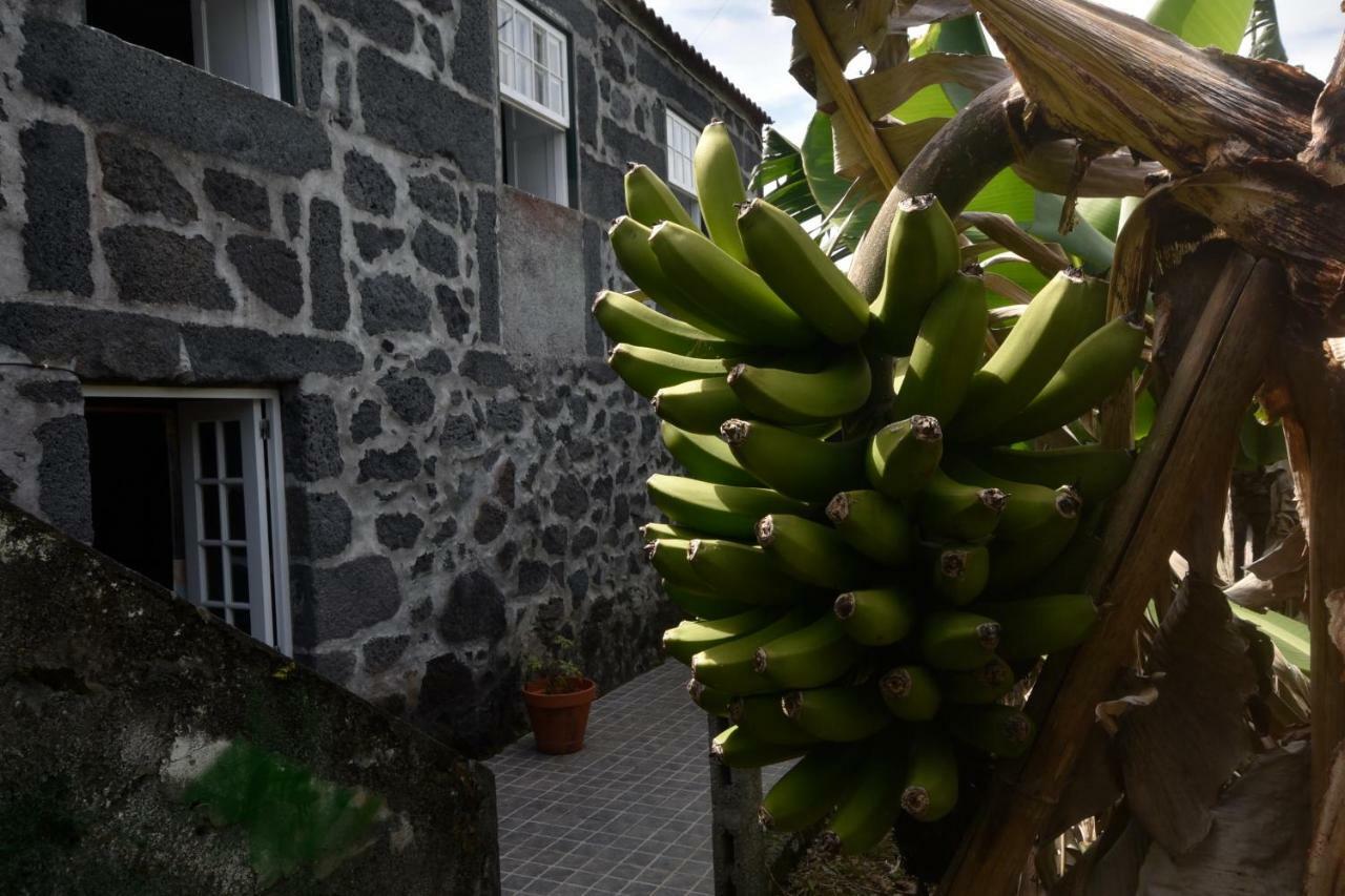 Adega Do Gato Hotel Calhau Exterior photo